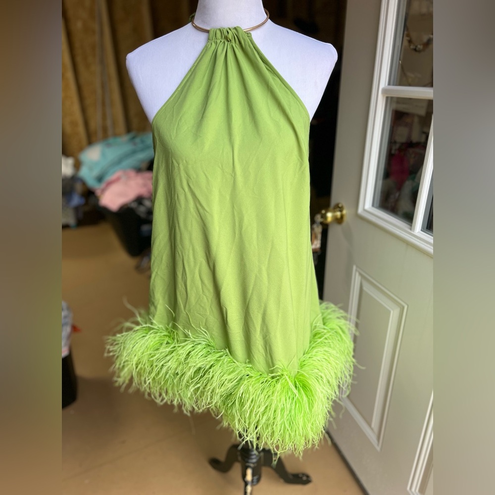COPY - Cult Gaia Reeves Feather-trim Mini Dress- medium